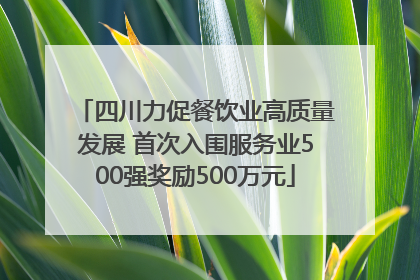 四川力促餐饮业高质量发展 首次入围服务业500强奖励500万元